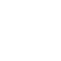 audit-2W
